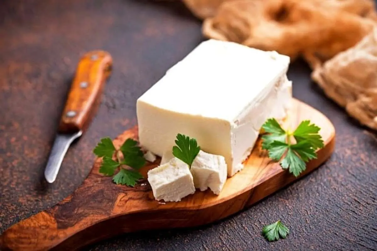 ببینید؛ خوردن پنیر انسان را خنگ می کند؟