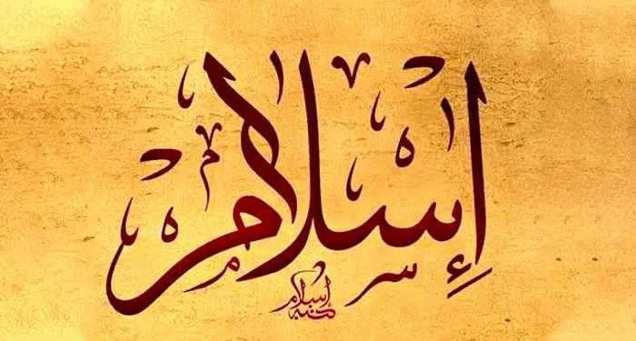 بررسی مولفه‌های حقوق مردم در اسلام علوی و اموی
