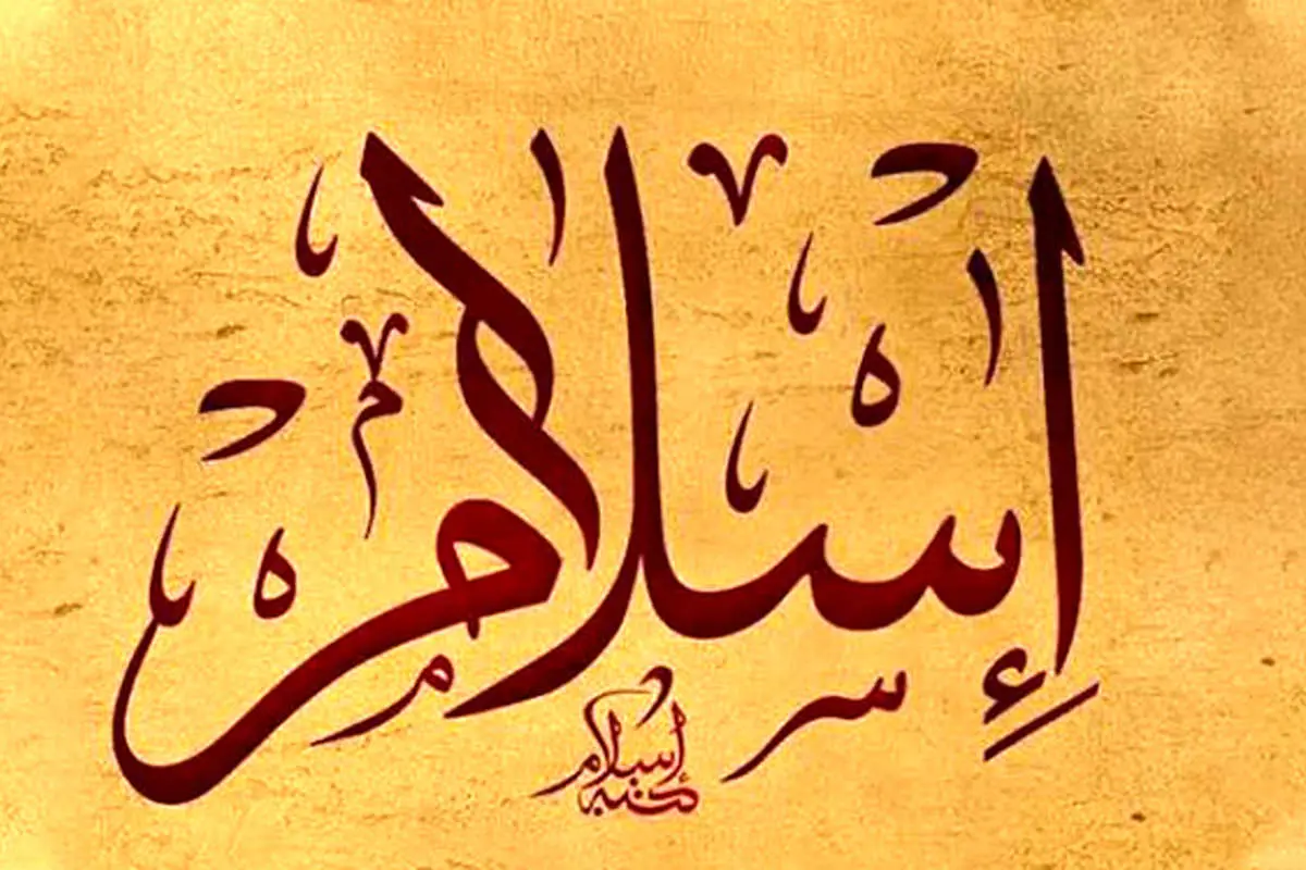 بررسی مولفههای حقوق مردم در اسلام علوی و اموی