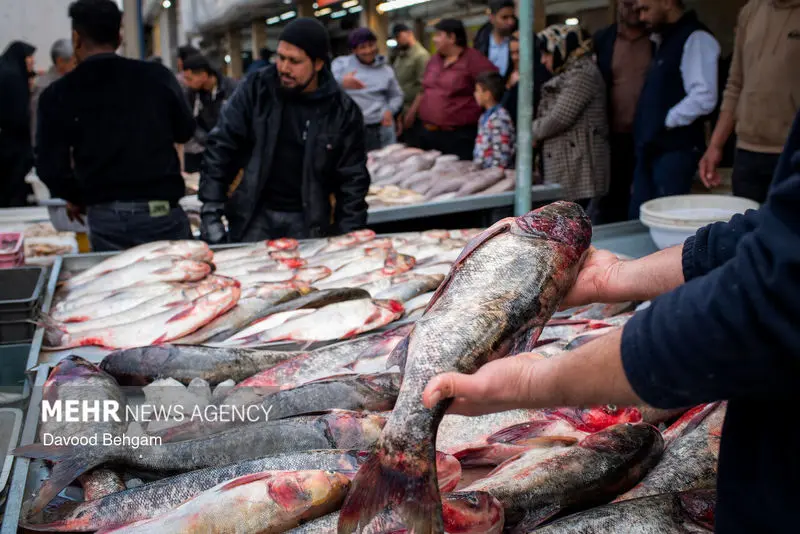 نوروز ۱۴۰۵ ۹