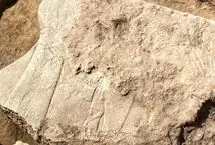 کشف نقش برجسته‌ای ۲۷۰۰ ساله از ایزدان آشوری در نینوا 