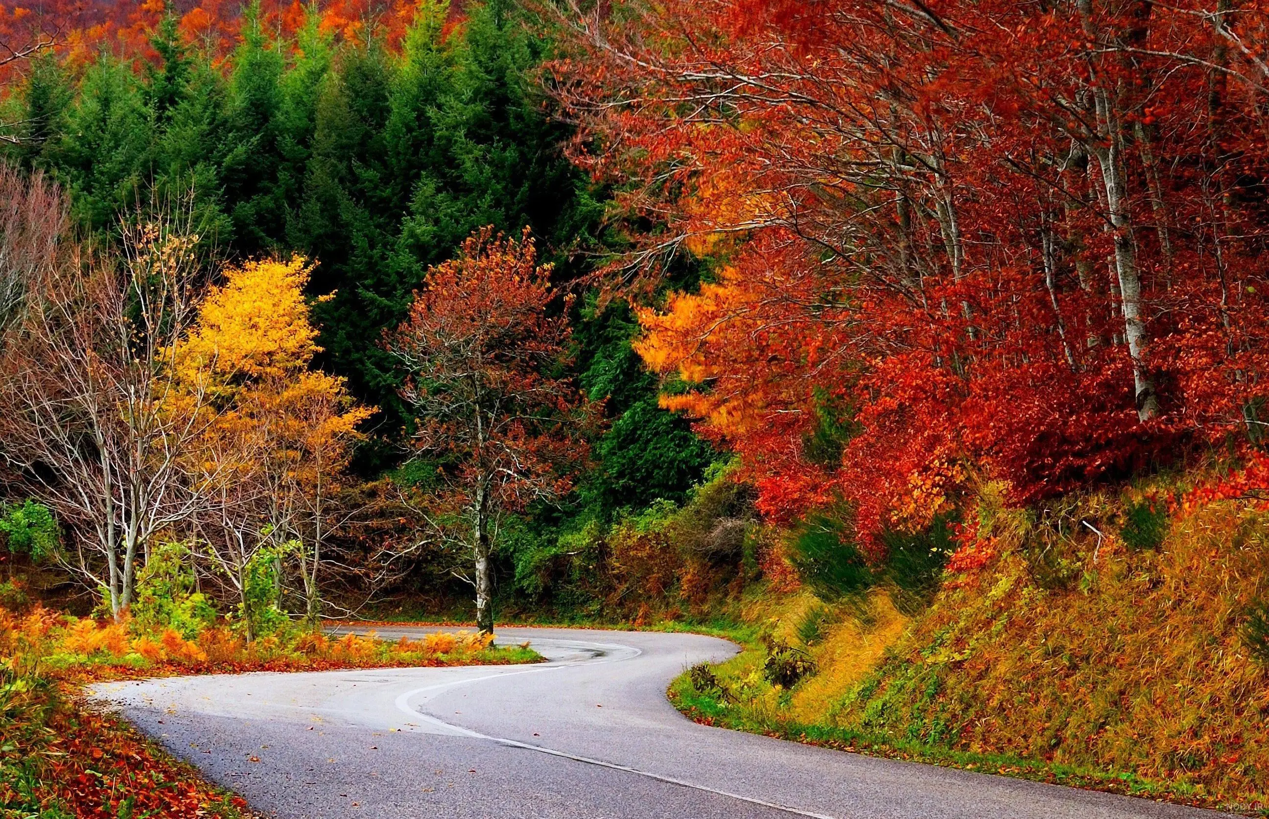پاییز را کجا تماشا کنیم؟ ۶ مقصد رنگارنگ نزدیک تهران
