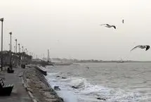 هشدار هواشناسی بوشهر: مراقب گرد و غبار فرامنطقه‌ای باشید