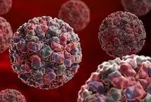 ثبت اولین مورد از ویروس خطرناک در هنگ کنگ