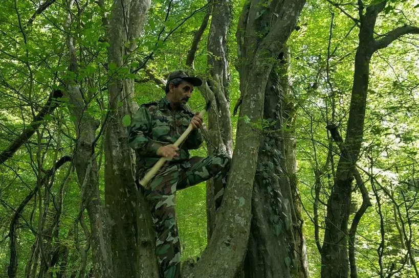 حافظان جنگل‌هاییم اما حقوق ۱۳ تا ۲۰ میلیون تومانی را با تأخیر می‌گیریم!
