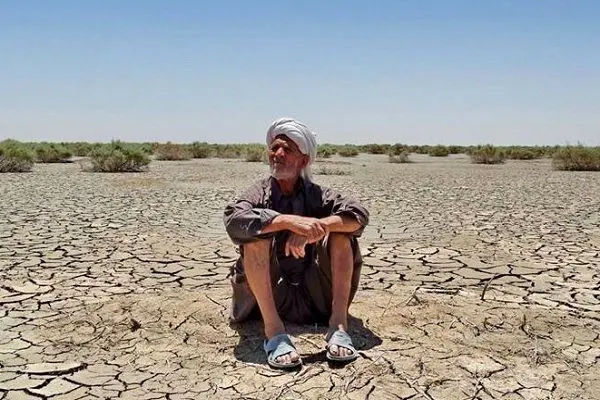 آب در آسیاب خشکسالی ریختن؛ رونق کاشت برنج در بلوچستان!

