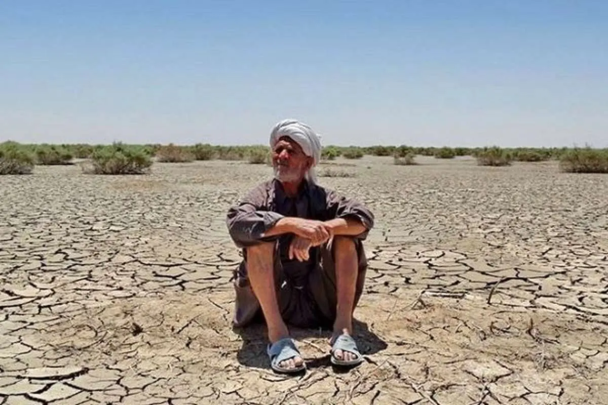 آب در آسیاب خشکسالی ریختن؛ رونق کاشت برنج در بلوچستان!