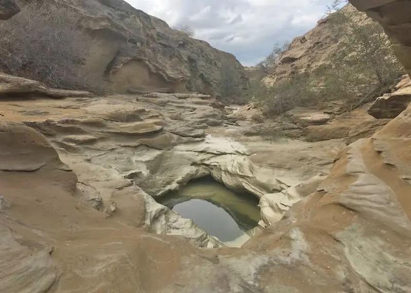 سیریک