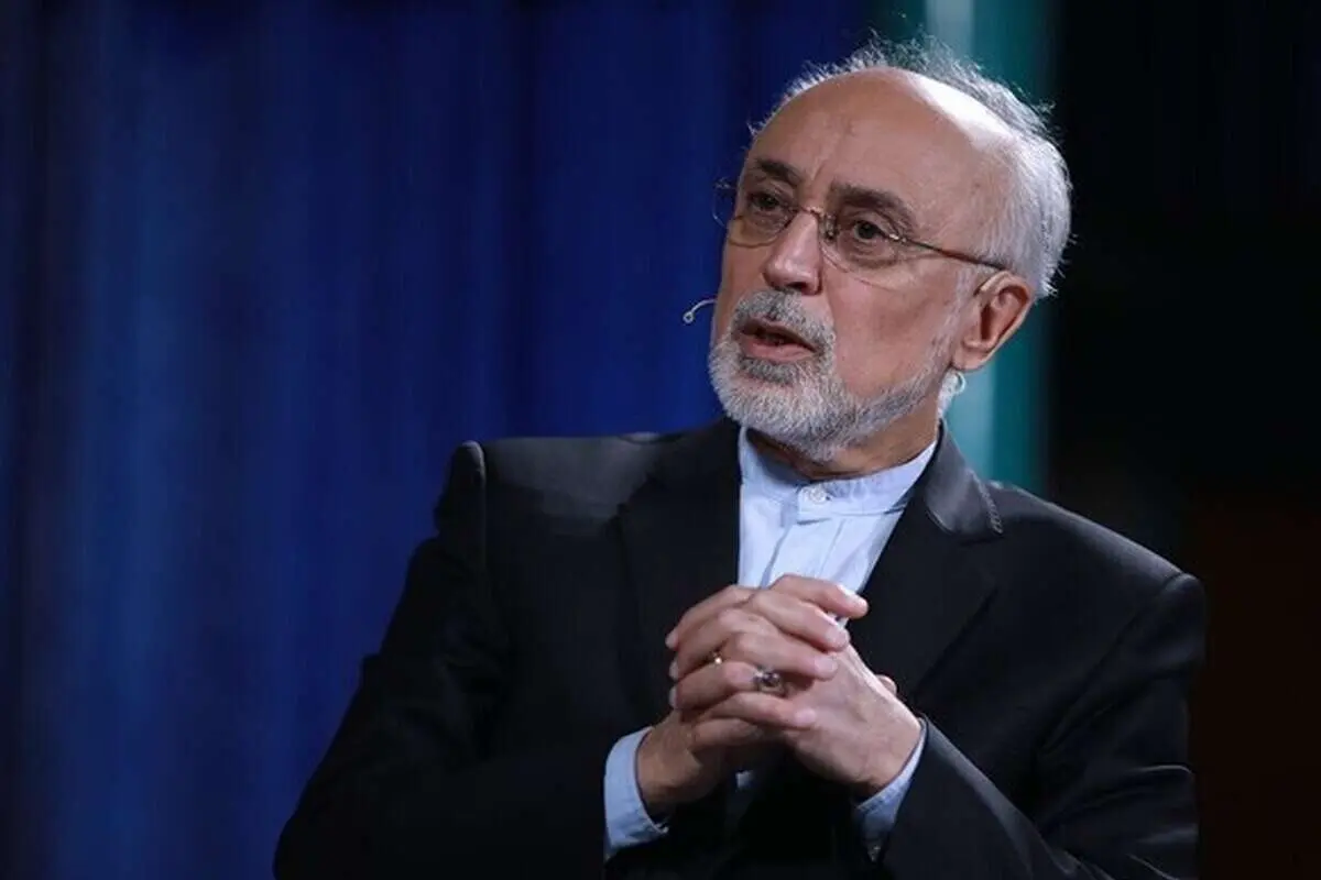 علی‌اکبر صالحی: از مسیر صلح حدیبیه می توان به فتح مکه رسید 