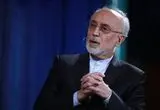 علی‌اکبر صالحی: از مسیر صلح حدیبیه می توان به فتح مکه رسید 