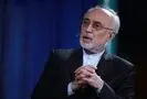 علی‌اکبر صالحی: از مسیر صلح حدیبیه می توان به فتح مکه رسید 