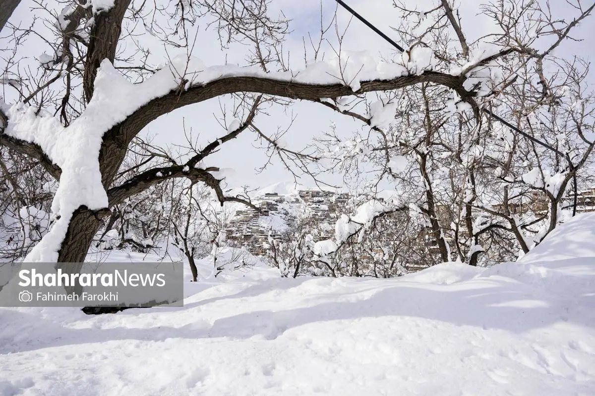 تصاویر؛ طبیعت زمستانی روستای کنگ 5