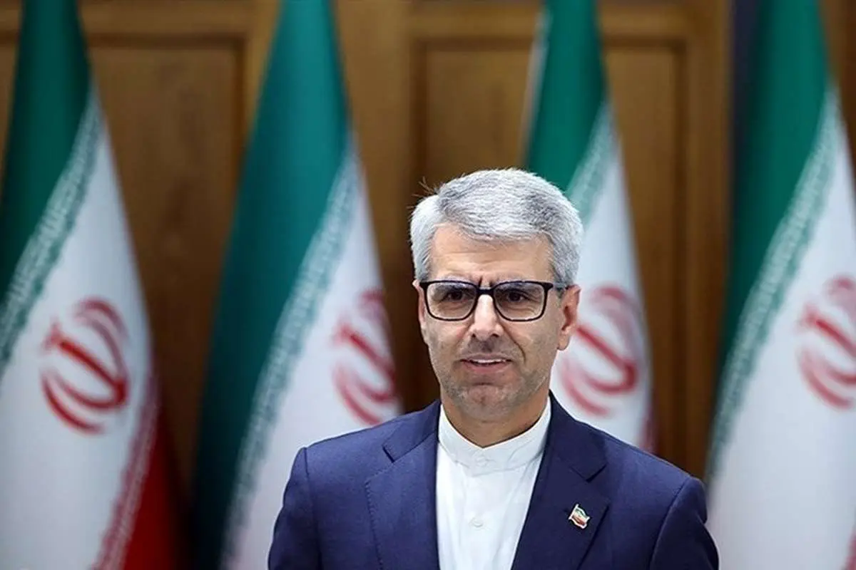 تلاش ایران برای آزادی موقت «مهدیه اسفندیاری» از زندان فرانسه