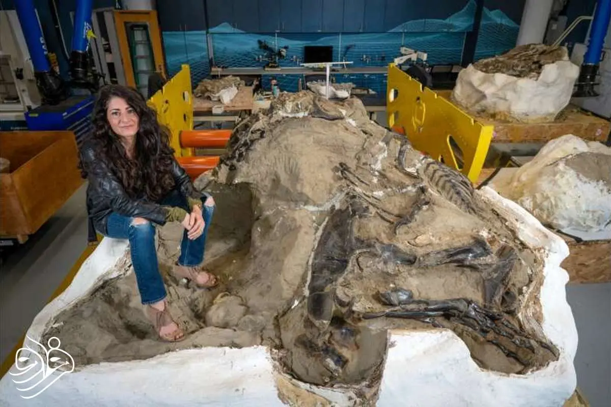 کشف جنجالی: تی‌رکس نوجوان گونه‌ای جدید از دایناسورهاست!