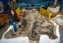 کشف جنجالی: تی‌رکس نوجوان گونه‌ای جدید از دایناسورهاست!