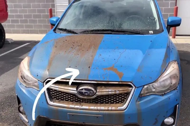 قبل و بعد سرامیک خودرو.jpg 2