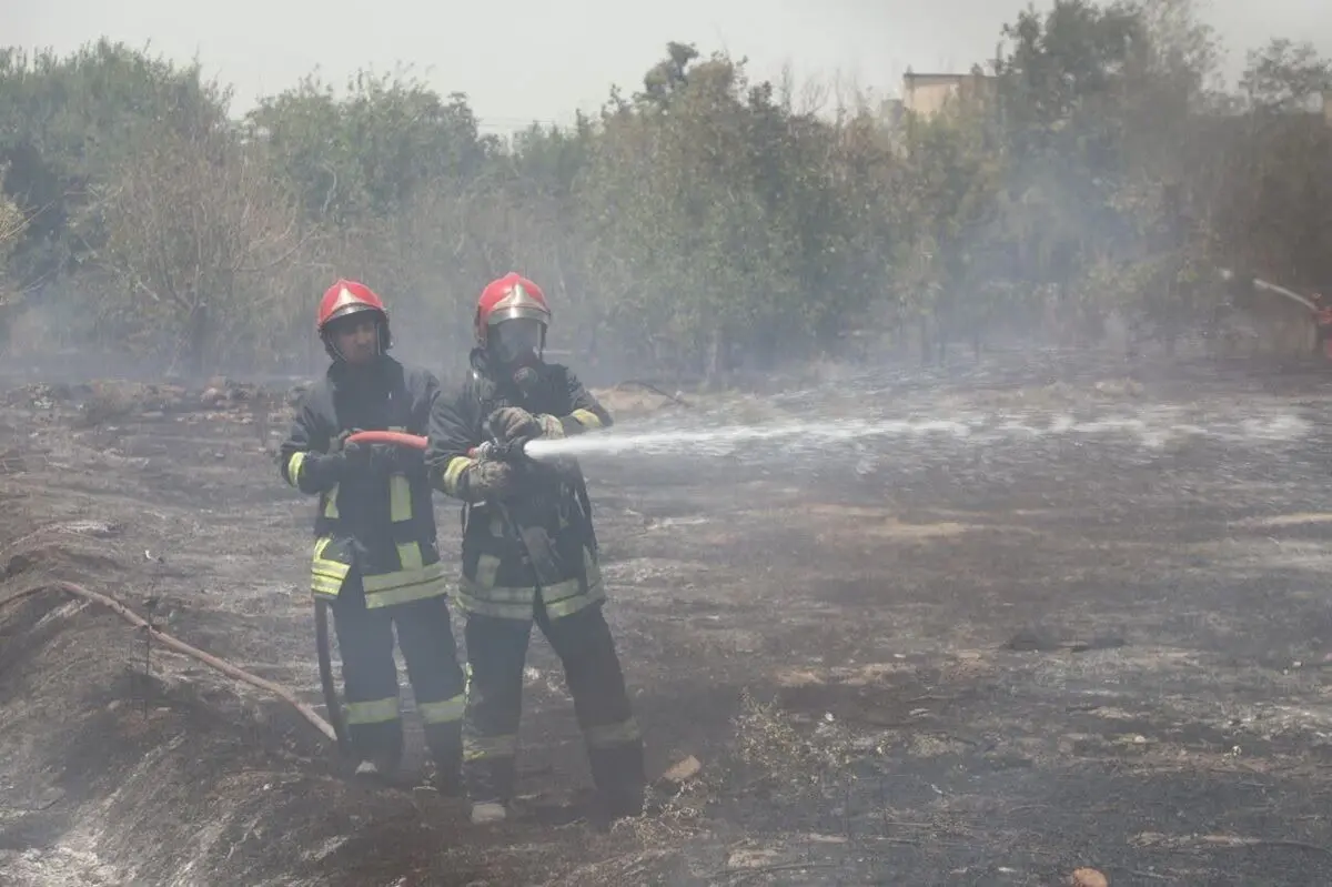 مهار حریق در ارتفاعات باباکوهی با تلاش آتش‌نشانان شیراز