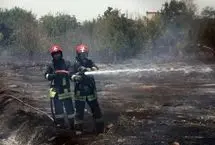 مهار حریق در ارتفاعات باباکوهی با تلاش آتش‌نشانان شیراز