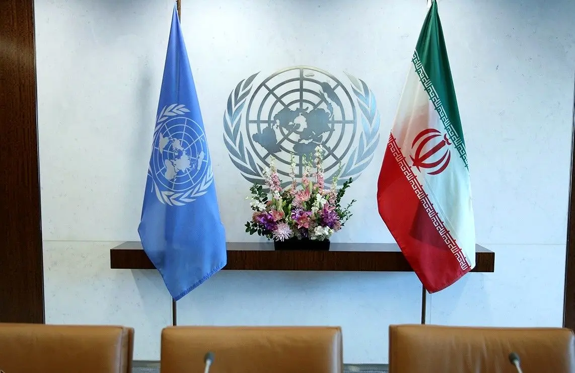  بقایی: قانون تعلیق همکاری ایران با آژانس برای دولت لازم‌الاجرا است