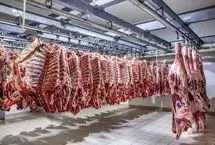 گوشت قرمز ارزان شد