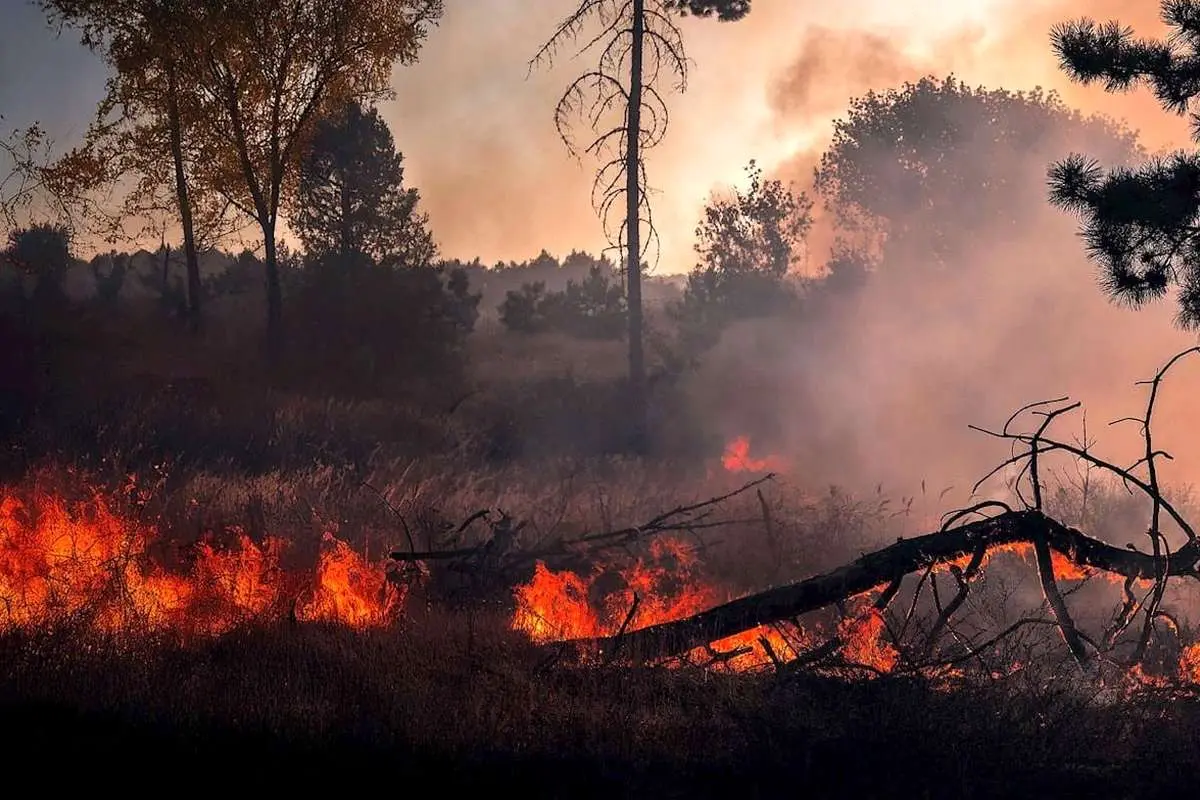 اعلام آمادگی آذربایجان برای کمک به اطفای حریق جنگل‌های هیرکانی