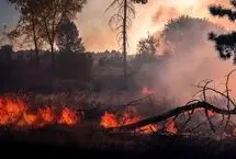 ورود مجلس به بررسی علت آتش‌سوزی جنگل الیت