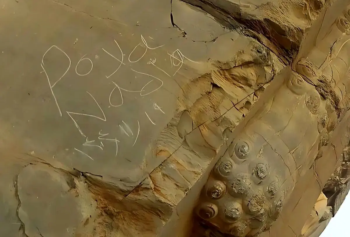 پیگرد قضایی در انتظار یادگاری‌نویس‌ها بر دروازه ملل تخت‌جمشید 