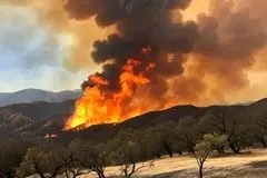 کدام مدیریت بحران؛ چرا میزان خسارت آتش‌سوزی جنگل‌های الیت اعلام نمی‌شود؟