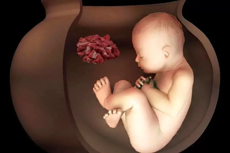 کشف دو جنین ۶۵۰۰ ساله در ایران؛ راز آیین عجیب تدفین ایرانیان باستان