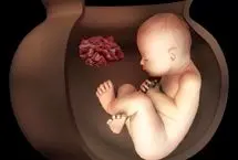 کشف دو جنین ۶۵۰۰ ساله در ایران؛ راز آیین عجیب تدفین ایرانیان باستان