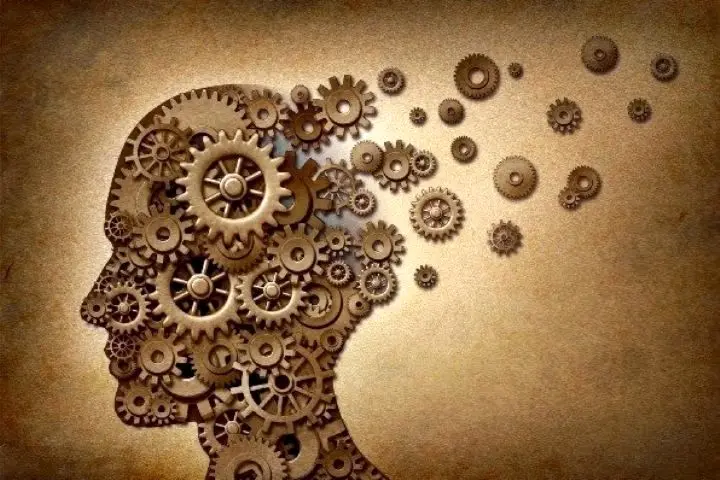 فلسفه همبرگری؛ چرا اندیشیدن دیگر صبر نمی‌خواهد؟

