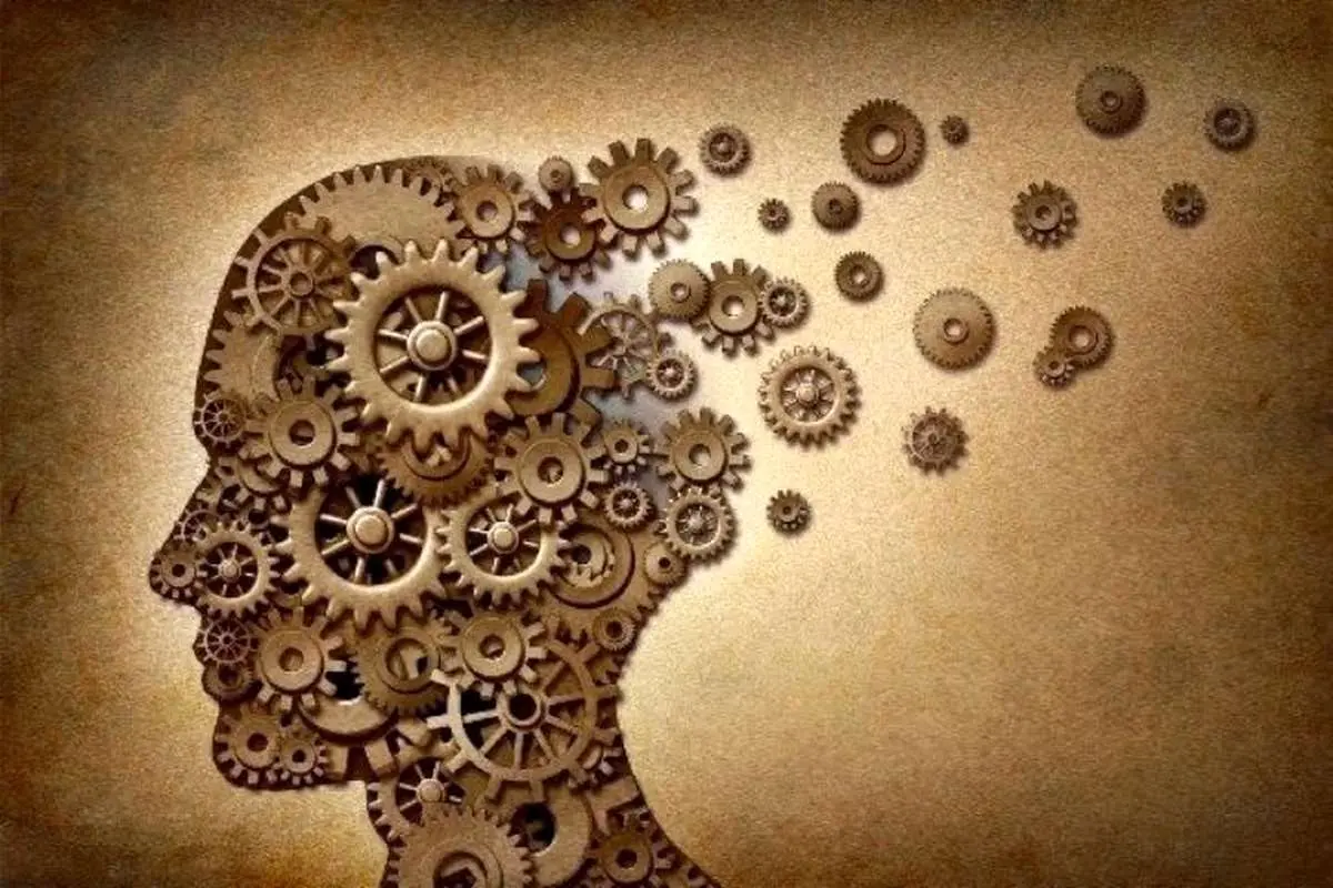 فلسفه همبرگری؛ چرا اندیشیدن دیگر صبر نمی‌خواهد؟

