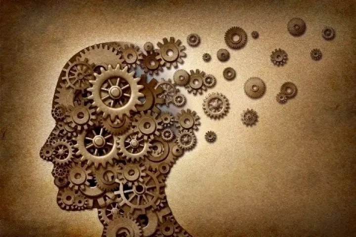 فلسفه همبرگری؛ چرا اندیشیدن دیگر صبر نمی‌خواهد؟

