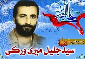 شناسایی هویت پیکر یکی از ۱۷۵ شهید غواص