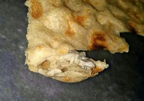 پیدا شدن مارمولک در نان سنگک + تصویر