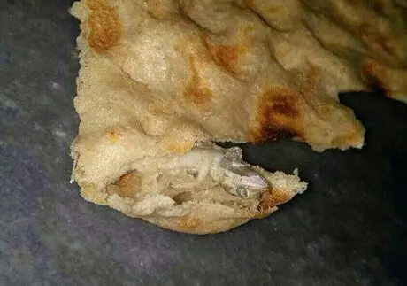 پیدا شدن مارمولک در نان سنگک + تصویر