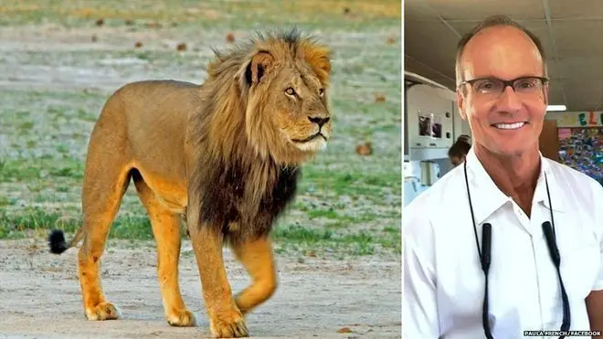 عذرخواهی پزشک شکارچی به خاطر شکار شیر محبوب