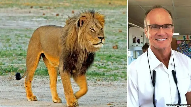 عذرخواهی پزشک شکارچی به خاطر شکار شیر محبوب