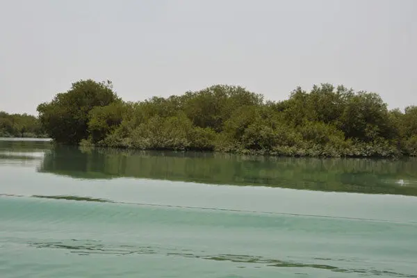 رازهای جنگل شگفت‌انگیز ایران