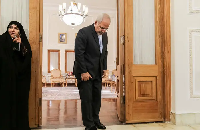 (تصاویر) دیدار ظریف و آمانو