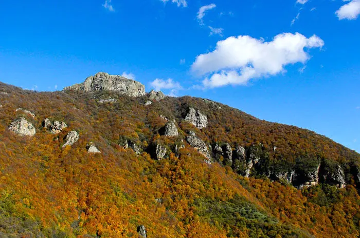 (تصاویر) پائیز در گردنه حیران