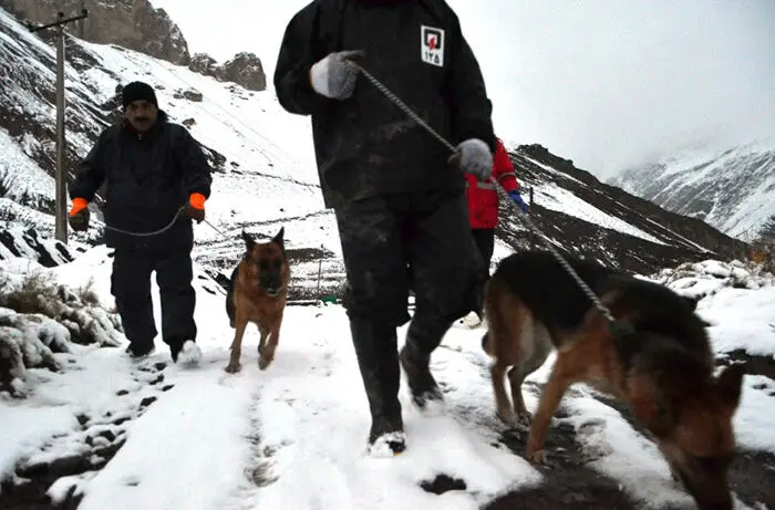 (تصاویر) کشف جسد یکی دیگر از زائران