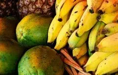 موز و قهوه نیکاراگوئه در ازای شهرک و سد ایرانی
