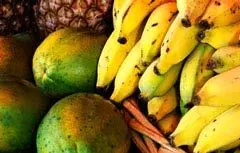 موز و قهوه نیکاراگوئه در ازای شهرک و سد ایرانی