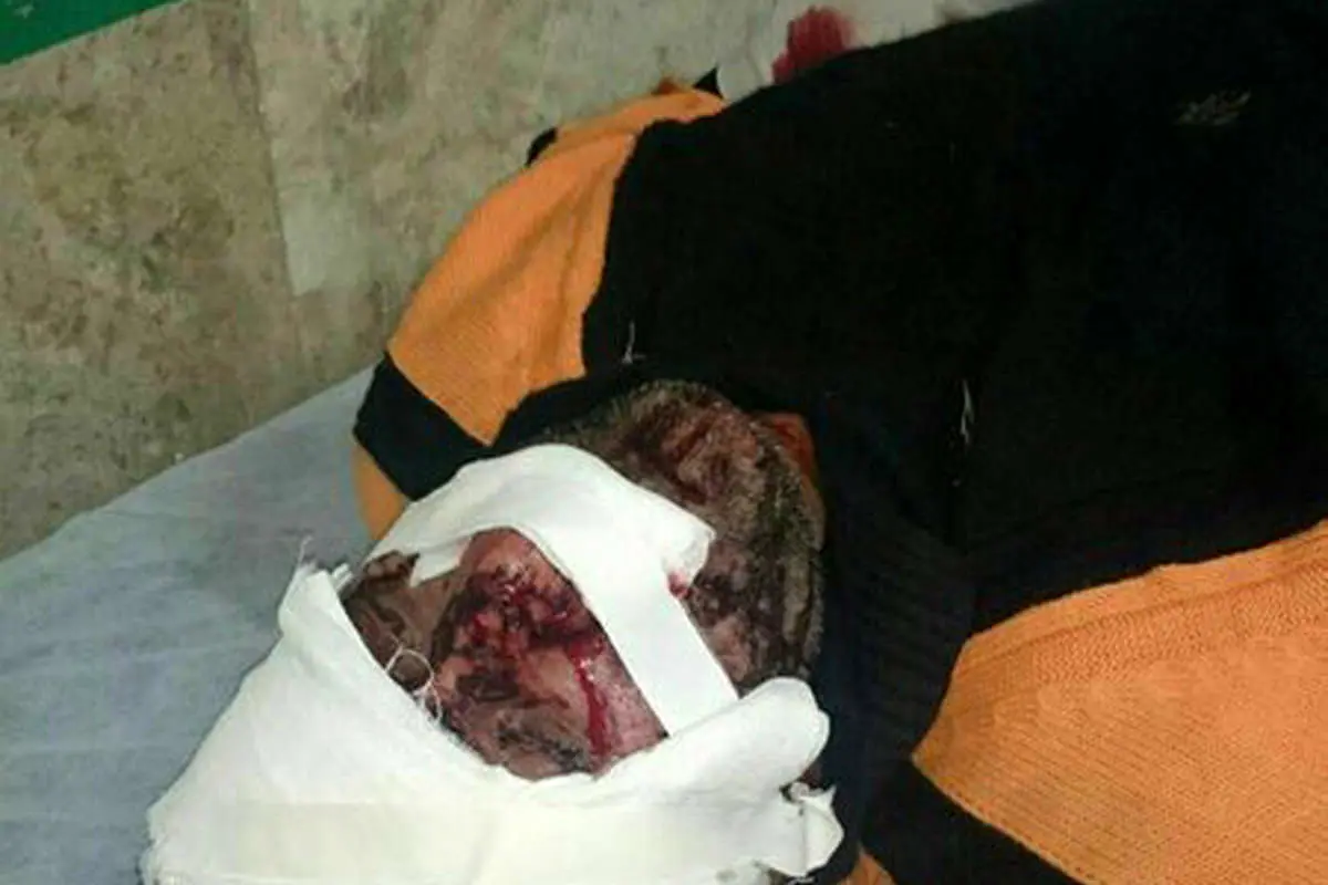 نجات چوپان از چنگال پلنگ در سوادکوه