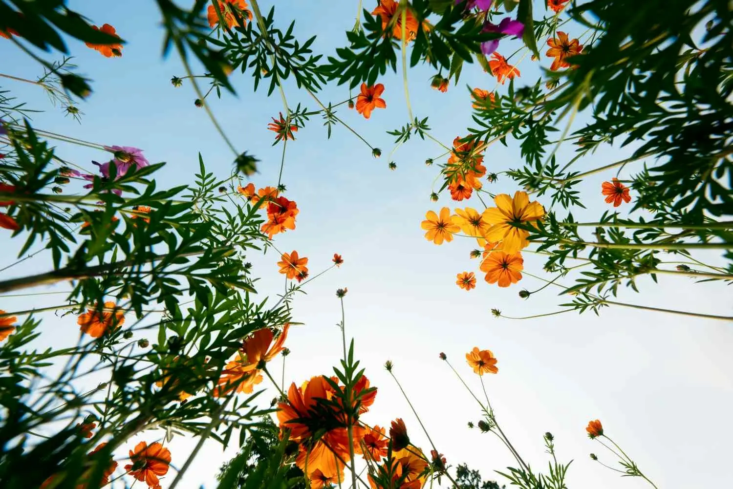 چگونه یک روز «کسل کننده» را نجات دهیم؟