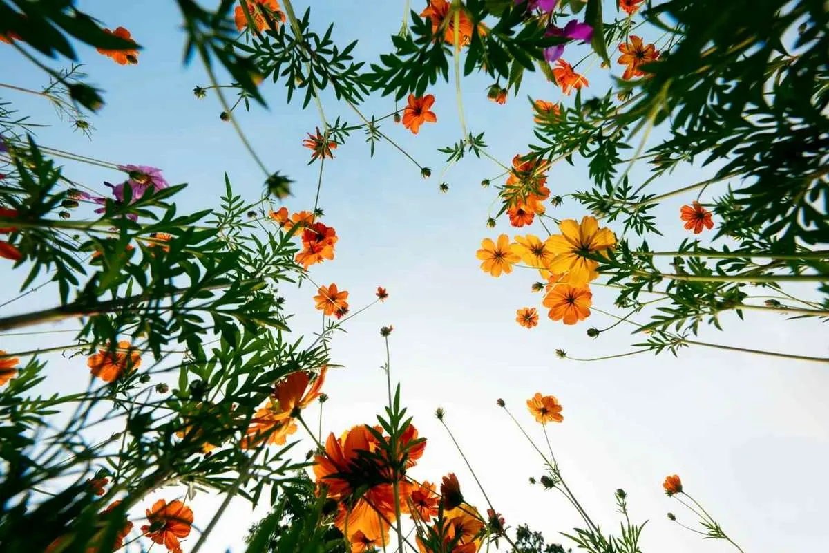 چگونه یک روز «کسل کننده» را نجات دهیم؟