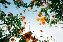 چگونه یک روز «کسل کننده» را نجات دهیم؟