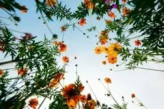 چگونه یک روز «کسل کننده» را نجات دهیم؟