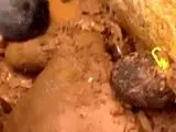 فیلم> نجات معجزه‌آسای مرد برزیلی از زیر گل